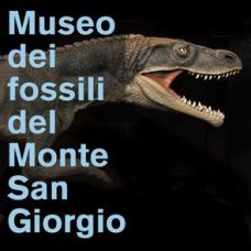 Musei dei Fossili di Meride